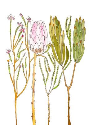 African Collection print