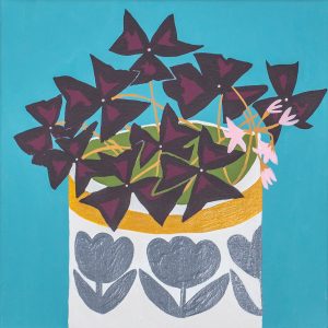 Oxalis Trangularis print