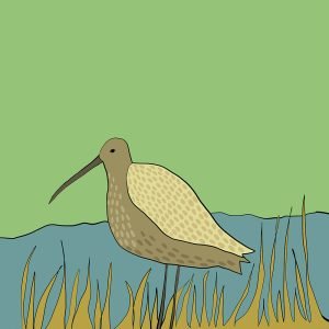 Curlew print by Thea Cutting