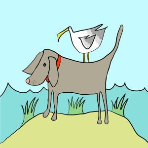 Dog and Gull print by Thea Cutting