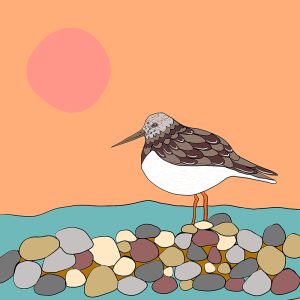 Coastal Bird Sunrise print by Thea Cutting, Gallery Thea
