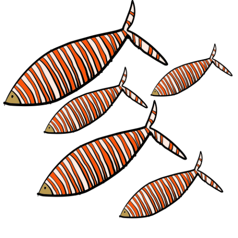Striped Fish
