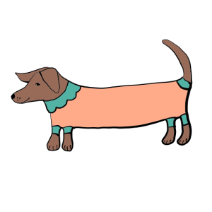 Dachshund