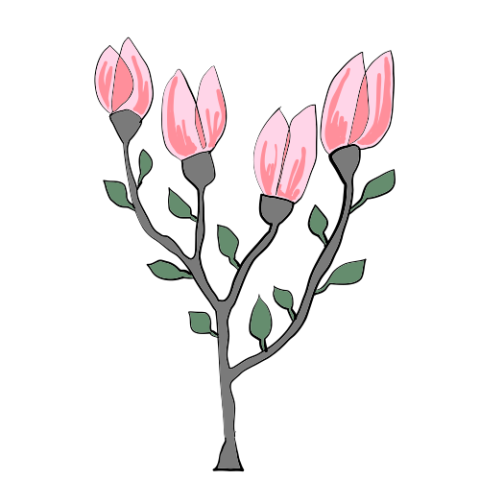 Magnolia design